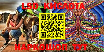 крисы Шахты