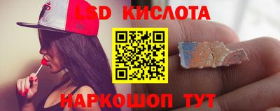 СК Ярославль
