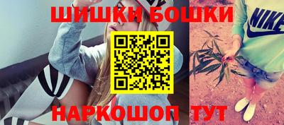 крисы Шахты