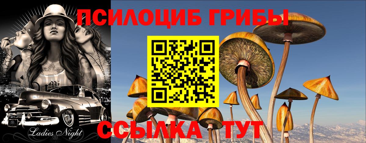 Рыбинск  Галлюциногенные грибы Psilocybe  Вход с VPN 